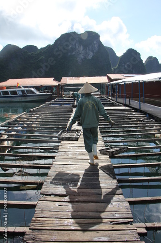 Canvastavla vietnam allevamento di ostriche ad halong bay
