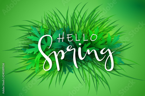 vector illustration of spring banner template with hand lettering phrase - hello spring - on a background of grass and leaves