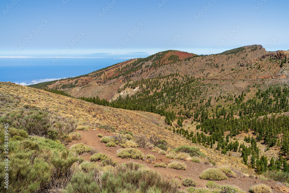 The southern slopes and lava fields of the Teide volcano. Tenerife. Canary Islands. Spain.