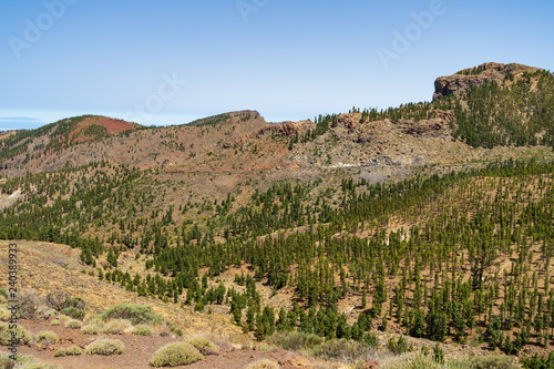 The southern slopes and lava fields of the Teide volcano. Tenerife. Canary Islands. Spain.