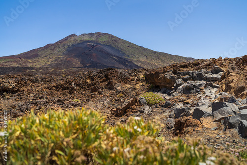 The lava fields of Teide volcano. Tenerife. Canary Islands. Spain.