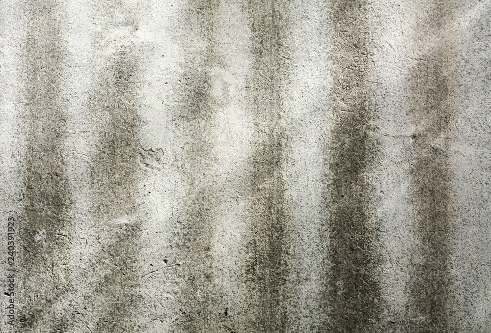 white concrete wall with shadows of the tree - Abstract background white concrete wall with shadows of the tree - Abstract background