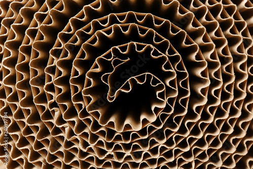 Roll of brown corrugated cardboard, closeup. Recyclable material photo