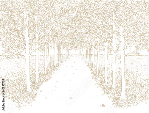 Hand Drawn Abstract Vector Landcape. Light Pale Brown Sketched Landscape on a White Background. Delicate Paste Color Drawing. Straight Park Alley with Trees Running Along Each Side. 