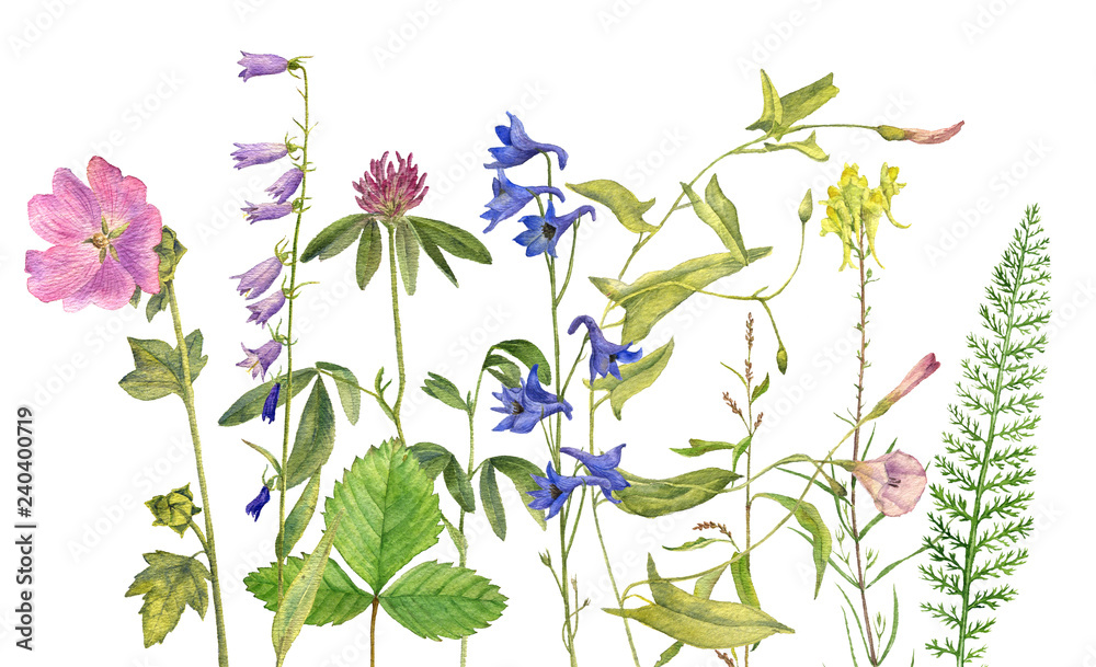 Fotografie Background with watercolor flowers
