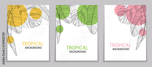 Abstract tropical banana and monstera palm leaves tropical background. Vector Illustration