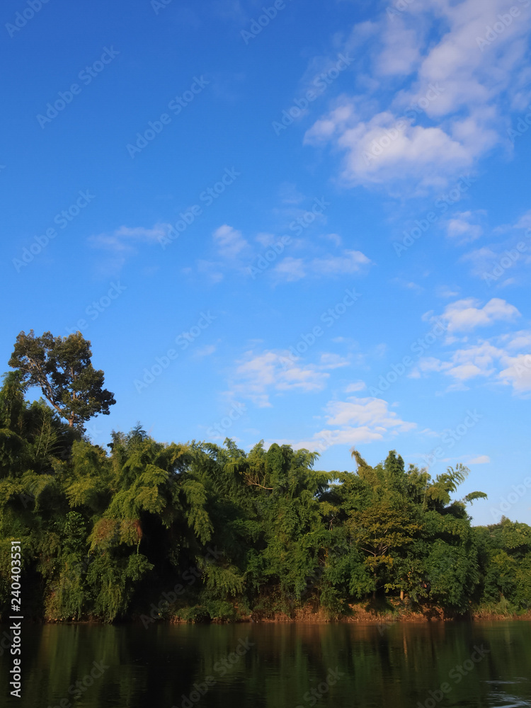 Large swamps and lush and abundant forests on a blue sky background and slightly cloudy For natural background