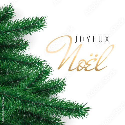 French text Joyeux Noel. Merry Christmas greeting card.