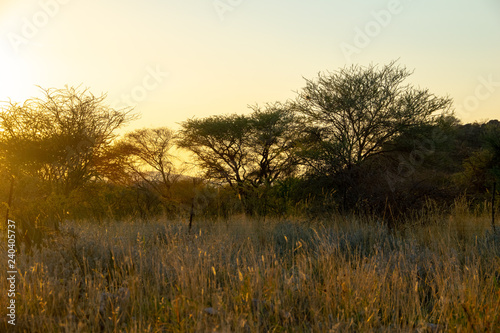 2018-10 Namibia