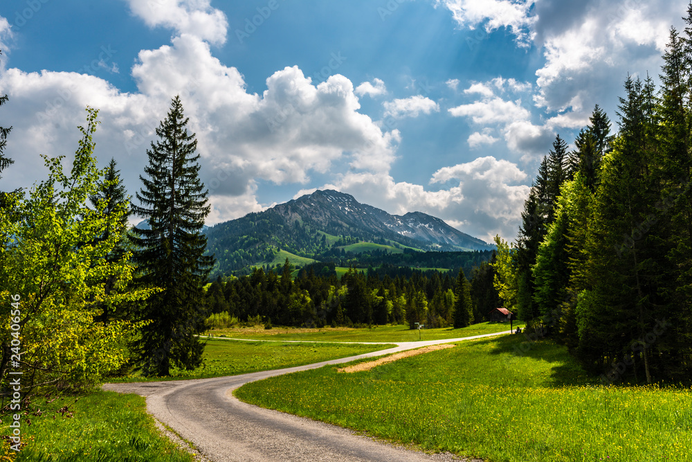 Alpenlandschaft, Wälder und grüne Wiesen und hohe Berggipfel