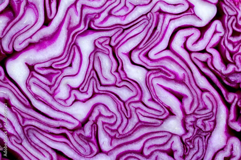 Red cabbage close-up. The texture of the cut cabbage. Red cabbage close-up. The texture of the cut cabbage.