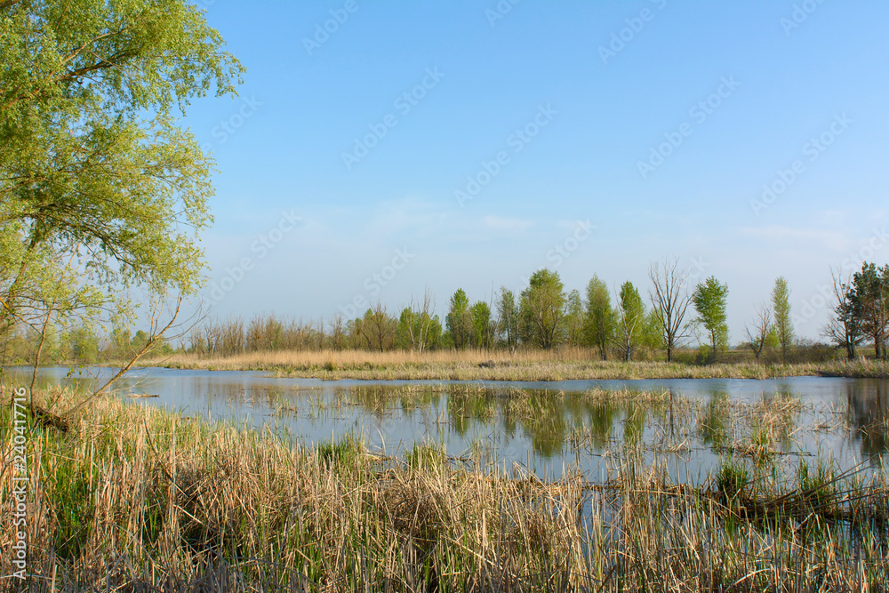Landscape with lake and blue sky