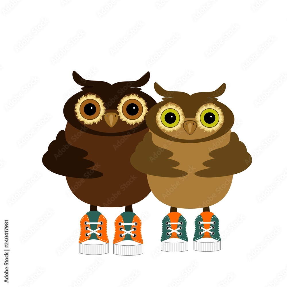 pair of cute owls on white background 
