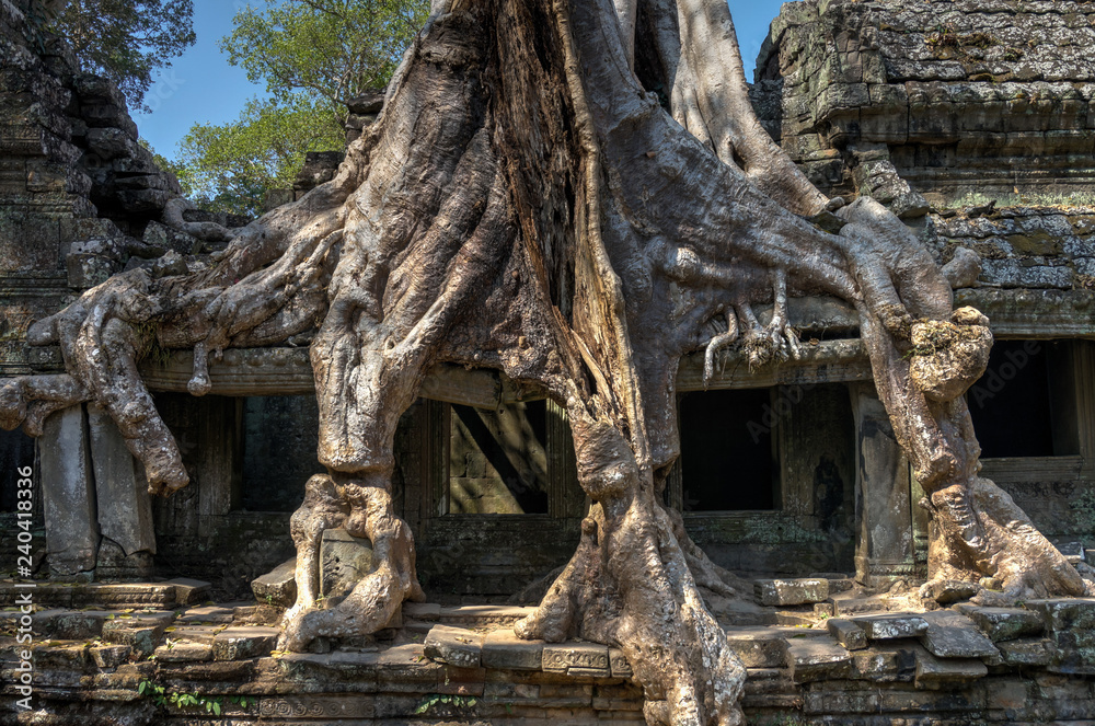 Ruin of a temple of Angkor Wat, Cambodia