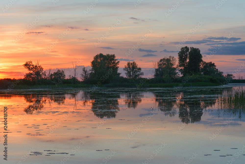 Obraz premium Sunrise over the river in the spring
