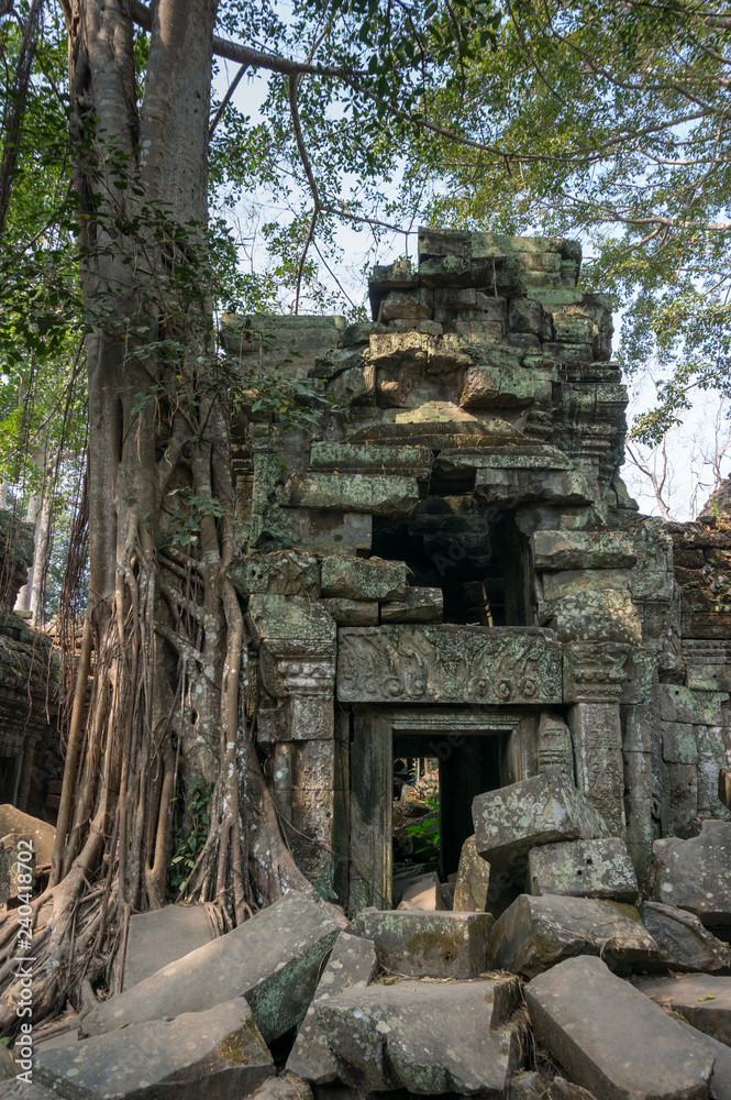 Fototapeta premium Ruin of a temple of Angkor Wat, Cambodia