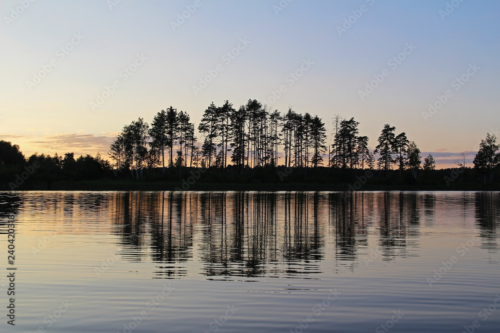 Fototapeta premium Silhouettes of trees and colorful sky are reflected in the forest lake in the evening. Unusual and picturesque scene. Russia.