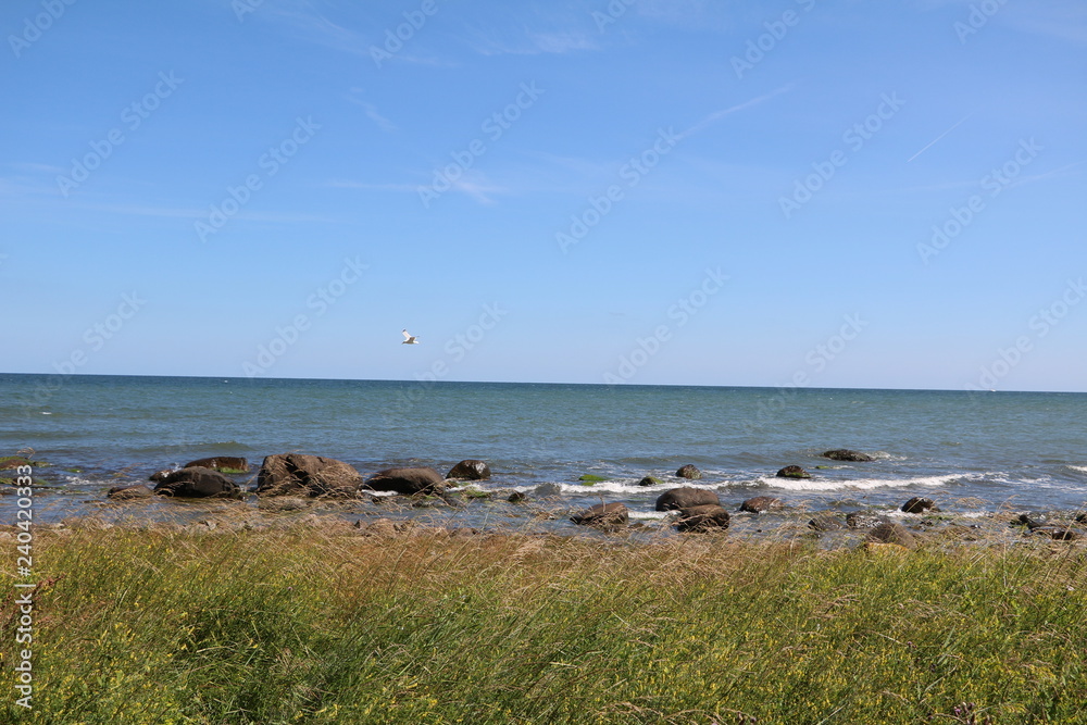 Coastal landscape Wittow at Cape Arkona on Island Rügen, Germany Baltic Sea