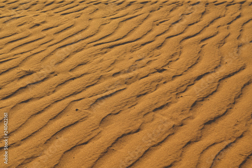 Details of the waves of the desert dunes photo