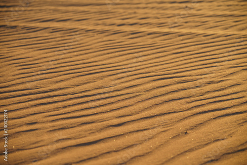 Details of the waves of the desert dunes