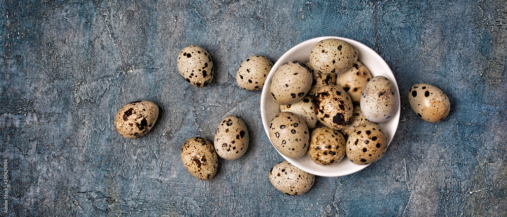 Top view on wide banner with small quail eggs in white bowl Top view on wide banner with small quail eggs in white bowl