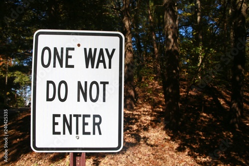 White One Way Do Not Enter Sign with Black Lettering in Front of Thick Foliage of Woods in a Clear Sunny Day in Burke, Virginia