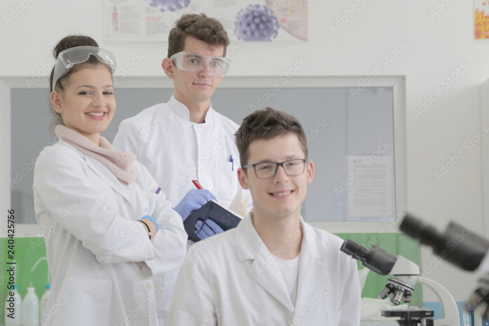 Fototapeta premium Group of young Laboratory scientists working at lab with test tu