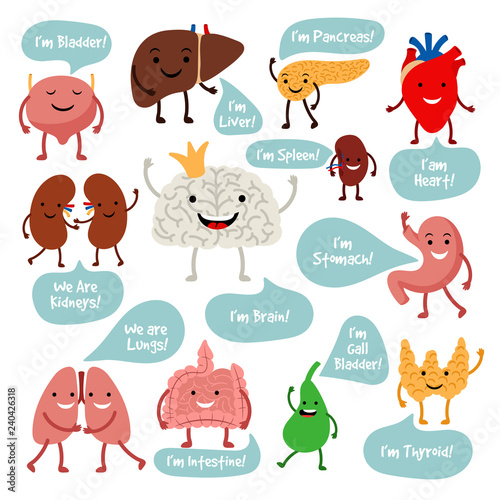 Human internal organs. Cartoon anatomy organs with happy smiles vector image, healthy spleen and lungs, liver and heart characters