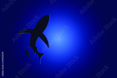 silhouette sharks in the deep sea