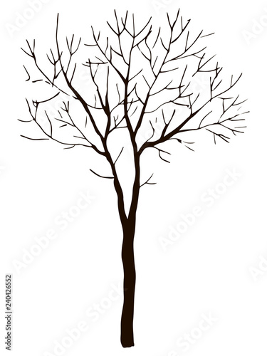 Black vector contour of deciduous simple thin branched tree without leaves object isolated on white background