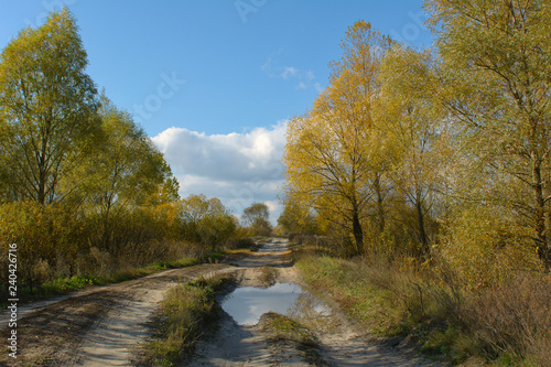 Autumn landscape with road and blue sky
