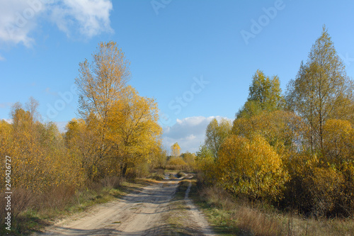 Autumn landscape with road and blue sky © Yurii Shelest
