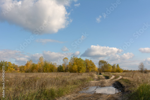 Autumn landscape with road and blue sky