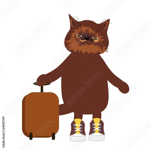nice cat travelling with suitcase in white isolated 