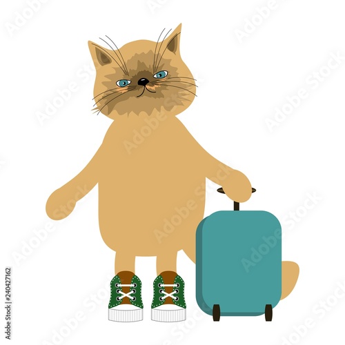 nice cat travelling with suitcase in white isolated 