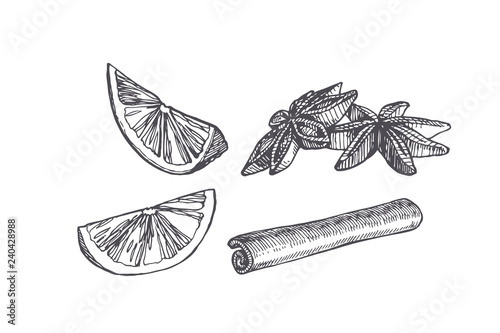 Vector vintage illustration of cardamom, cinnamon and citrus slice isolated on white. Spices in sketch style.
