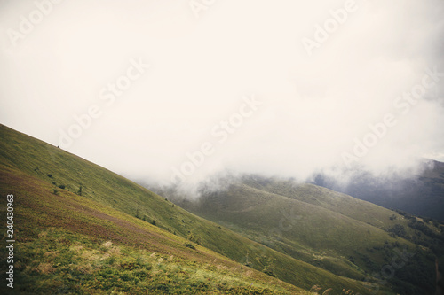 Beautiful view of green hills in Carpathian mountains. Landscape of foggy misty mountains under clouds. Travel and explore concept.