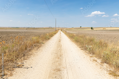 rural path between Palacios de Goda and Honquilana, province of Avila, Spain photo