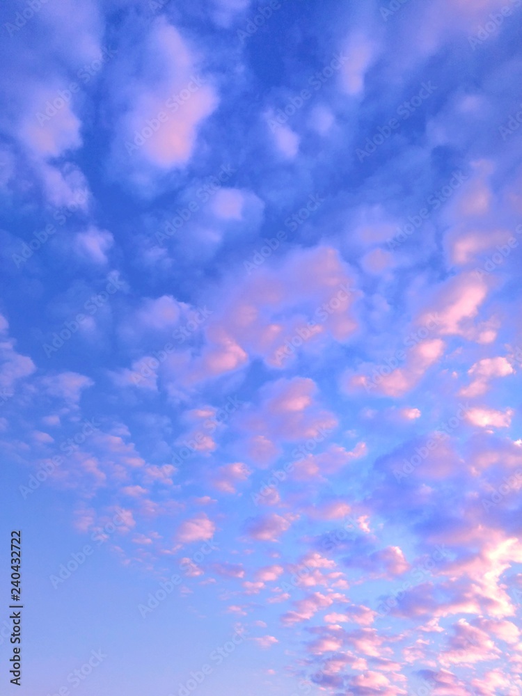 早冬の朝空 鰯雲 鱗雲 Stock 写真 Adobe Stock