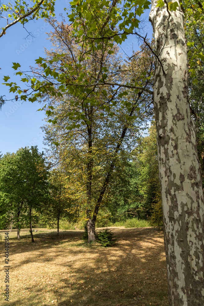 Obraz premium Landscape of park Vrana - around former Royal Palace in city of Sofia, Bulgaria