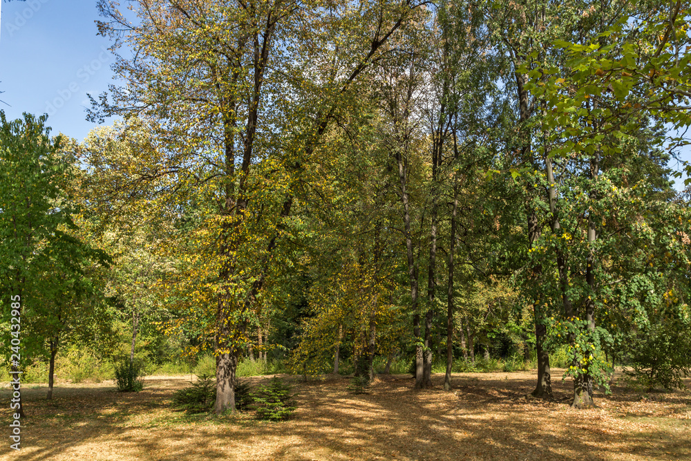 Naklejka premium Landscape of park Vrana - around former Royal Palace in city of Sofia, Bulgaria