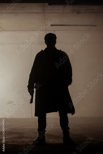 Silhouette assassin holding gun