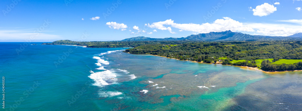 Kauai Coast Tropical Island Hawaii View Panoramic - obrazy, fototapety, plakaty 