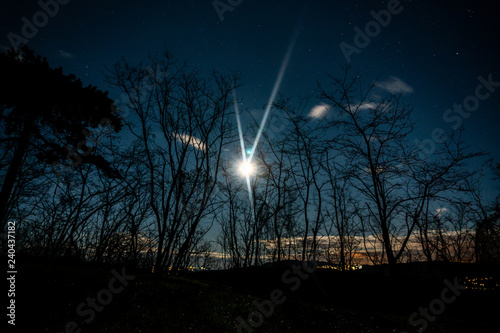 night in forest, moon, sky