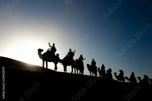 camel caravan silhouettes in sahara desert © Dennis