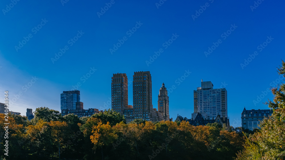 Buildings and skyscrapers of midtown Manhattan above trees, viewed from Central Park of New York City, USA