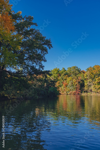 Green and yellow autumn trees by water under clear blue sky in Central Park of New York City, USA