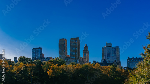 Buildings and skyscrapers of midtown Manhattan above trees  viewed from Central Park of New York City  USA