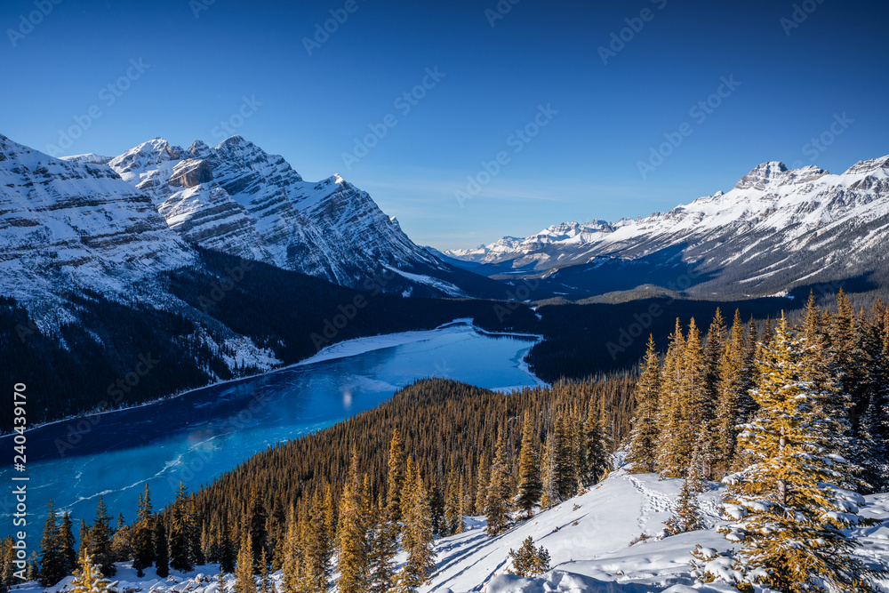 Winter at Peyto Lake in Banff Canada. Snow covered mountains and forest with glacial blue lake. Sunset in the Rocky Mountains. Sunset Peyto Lake during the winter