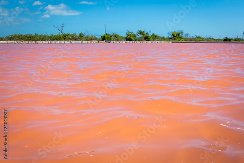 Red salt production in Puerto Rico lake photo